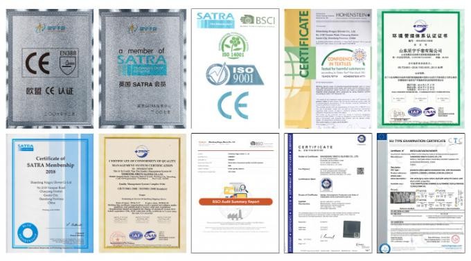 Disposable Examination Gloves Xingyu Blue Nitrile Powder Free Medical Examination Gloves